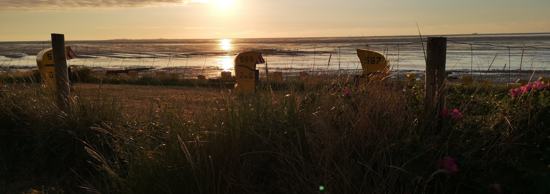 Persönliches Headerbild
